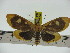 ( - ZWIER DNA 0284)  @14 [ ] Copyright (2010) Unspecified Research Collection of Jaap Zwier