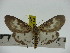  ( - ZWIER DNA 0290)  @14 [ ] Copyright (2010) Unspecified Research Collection of Jaap Zwier