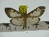  ( - ZWIER DNA 0302)  @13 [ ] Copyright (2010) Unspecified Research Collection of Jaap Zwier