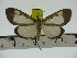  ( - ZWIER DNA 0303)  @13 [ ] Copyright (2010) Unspecified Research Collection of Jaap Zwier