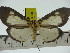  ( - ZWIER DNA 0309)  @14 [ ] Copyright (2010) Unspecified Research Collection of Jaap Zwier