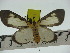  ( - ZWIER DNA 0314)  @14 [ ] Copyright (2010) Unspecified Research Collection of Jaap Zwier