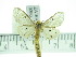  ( - ZWIER DNA 0350)  @12 [ ] Copyright (2010) Unspecified Research Collection of Jaap Zwier