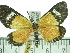  ( - ZWIER DNA 0364)  @11 [ ] Copyright (2010) Unspecified Research Collection of Jaap Zwier
