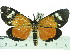 ( - ZWIER DNA 0367)  @11 [ ] Copyright (2010) Unspecified Research Collection of Jaap Zwier