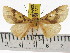  ( - ZWIER DNA 0802)  @14 [ ] CreativeCommons - Attribution Non-Commercial Share-Alike (2012) J. H. H. Zwier Unspecified
