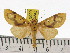  ( - ZWIER DNA 0803)  @15 [ ] CreativeCommons - Attribution Non-Commercial Share-Alike (2012) J. H. H. Zwier Unspecified