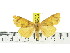  ( - ZWIER DNA 0805)  @14 [ ] CreativeCommons - Attribution Non-Commercial Share-Alike (2012) J. H. H. Zwier Unspecified