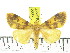  ( - ZWIER DNA 0806)  @14 [ ] CreativeCommons - Attribution Non-Commercial Share-Alike (2012) J. H. H. Zwier Unspecified