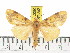  ( - ZWIER DNA 0807)  @14 [ ] CreativeCommons - Attribution Non-Commercial Share-Alike (2012) J. H. H. Zwier Unspecified