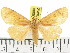  ( - ZWIER DNA 0809)  @14 [ ] CreativeCommons - Attribution Non-Commercial Share-Alike (2012) J. H. H. Zwier Unspecified