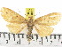  ( - ZWIER DNA 0810)  @13 [ ] CreativeCommons - Attribution Non-Commercial Share-Alike (2012) J. H. H. Zwier Unspecified