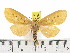  ( - ZWIER DNA 0811)  @14 [ ] CreativeCommons - Attribution Non-Commercial Share-Alike (2012) J. H. H. Zwier Unspecified