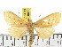  ( - ZWIER DNA 0812)  @12 [ ] CreativeCommons - Attribution Non-Commercial Share-Alike (2012) J. H. H. Zwier Unspecified