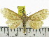  ( - ZWIER DNA 0813)  @12 [ ] CreativeCommons - Attribution Non-Commercial Share-Alike (2012) J. H. H. Zwier Unspecified