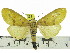  ( - ZWIER DNA 0814)  @14 [ ] CreativeCommons - Attribution Non-Commercial Share-Alike (2012) J. H. H. Zwier Unspecified