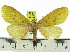  ( - ZWIER DNA 0815)  @14 [ ] CreativeCommons - Attribution Non-Commercial Share-Alike (2012) J. H. H. Zwier Unspecified