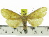  ( - ZWIER DNA 0816)  @12 [ ] CreativeCommons - Attribution Non-Commercial Share-Alike (2012) J. H. H. Zwier Unspecified