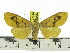  ( - ZWIER DNA 0817)  @12 [ ] CreativeCommons - Attribution Non-Commercial Share-Alike (2012) J. H. H. Zwier Unspecified