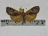  ( - ZWIER DNA 0837)  @11 [ ] CreativeCommons - Attribution Non-Commercial Share-Alike (2012) J. H. H. Zwier Unspecified