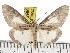  ( - ZWIER DNA 0843)  @14 [ ] CreativeCommons - Attribution Non-Commercial Share-Alike (2012) J. H. H. Zwier Unspecified