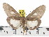  ( - ZWIER DNA 0844)  @14 [ ] CreativeCommons - Attribution Non-Commercial Share-Alike (2012) J. H. H. Zwier Unspecified
