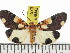  ( - ZWIER DNA 0851)  @14 [ ] CreativeCommons - Attribution Non-Commercial Share-Alike (2012) J. H. H. Zwier Unspecified