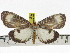  ( - ZWIER DNA 0858)  @11 [ ] CreativeCommons - Attribution Non-Commercial Share-Alike (2012) J. H. H. Zwier Unspecified