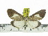  ( - ZWIER DNA 0864)  @11 [ ] CreativeCommons - Attribution Non-Commercial Share-Alike (2012) J. H. H. Zwier Unspecified