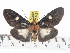  ( - ZWIER DNA 0870)  @13 [ ] CreativeCommons - Attribution Non-Commercial Share-Alike (2012) J. H. H. Zwier Unspecified