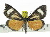  ( - ZWIER DNA 0875)  @13 [ ] CreativeCommons - Attribution Non-Commercial Share-Alike (2012) J. H. H. Zwier Unspecified