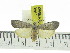  ( - ZWIER DNA 0882)  @11 [ ] CreativeCommons - Attribution Non-Commercial Share-Alike (2012) J. H. H. Zwier Unspecified