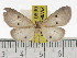  ( - ZWIER DNA 0890)  @13 [ ] CreativeCommons - Attribution Non-Commercial Share-Alike (2012) J. H. H. Zwier Unspecified