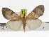  ( - ZWIER DNA 0891)  @14 [ ] CreativeCommons - Attribution Non-Commercial Share-Alike (2012) J. H. H. Zwier Unspecified