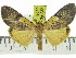  ( - ZWIER DNA 0893)  @14 [ ] CreativeCommons - Attribution Non-Commercial Share-Alike (2012) J. H. H. Zwier Unspecified