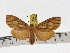  ( - ZWIER DNA 1006)  @13 [ ] Copyright (2010) Jaap Zwier Research Collection of Jaap Zwier