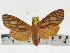  ( - ZWIER DNA 1007)  @13 [ ] Copyright (2010) Jaap Zwier Research Collection of Jaap Zwier