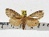  ( - ZWIER DNA 1008)  @13 [ ] Copyright (2010) Jaap Zwier Research Collection of Jaap Zwier