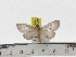  ( - ZWIER DNA 1027)  @11 [ ] Copyright (2010) Jaap Zwier Research Collection of Jaap Zwier