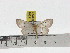  ( - ZWIER DNA 1028)  @11 [ ] Copyright (2010) Jaap Zwier Research Collection of Jaap Zwier