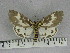  ( - ZWIER DNA 1043)  @11 [ ] Copyright (2010) Jaap Zwier Research Collection of Jaap Zwier