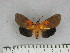  ( - ZWIER DNA 1059)  @11 [ ] Copyright (2010) Jaap Zwier Research Collection of Jaap Zwier