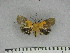  ( - ZWIER DNA 1060)  @11 [ ] Copyright (2010) Jaap Zwier Research Collection of Jaap Zwier