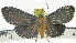  ( - ZWIER DNA 0910)  @11 [ ] CreativeCommons - Attribution Non-Commercial Share-Alike (2012) J. H. H. Zwier Unspecified