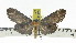  ( - ZWIER DNA 0911)  @11 [ ] CreativeCommons - Attribution Non-Commercial Share-Alike (2012) J. H. H. Zwier Unspecified