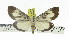  ( - ZWIER DNA 0917)  @11 [ ] CreativeCommons - Attribution Non-Commercial Share-Alike (2012) J. H. H. Zwier Unspecified
