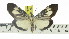  ( - ZWIER DNA 0918)  @14 [ ] CreativeCommons - Attribution Non-Commercial Share-Alike (2012) J. H. H. Zwier Unspecified