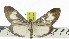  ( - ZWIER DNA 0919)  @11 [ ] CreativeCommons - Attribution Non-Commercial Share-Alike (2012) J. H. H. Zwier Unspecified