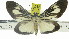  ( - ZWIER DNA 0922)  @11 [ ] CreativeCommons - Attribution Non-Commercial Share-Alike (2012) J. H. H. Zwier Unspecified