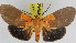  ( - ZWIER DNA 0926)  @14 [ ] CreativeCommons - Attribution Non-Commercial Share-Alike (2012) J. H. H. Zwier Unspecified